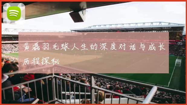 黄磊羽毛球人生的深度对话与成长历程探秘