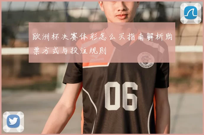 欧洲杯决赛体彩怎么买指南解析购票方式与投注规则