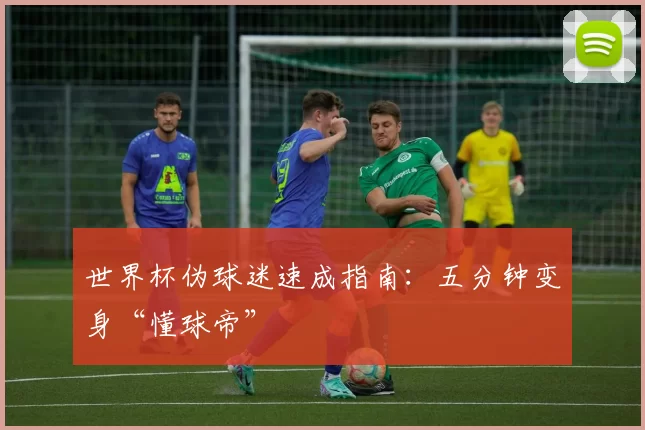 世界杯伪球迷速成指南：五分钟变身“懂球帝”