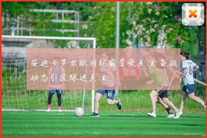 安迪卡罗尔欧洲杯前景受关注 备战动态引发球迷关注