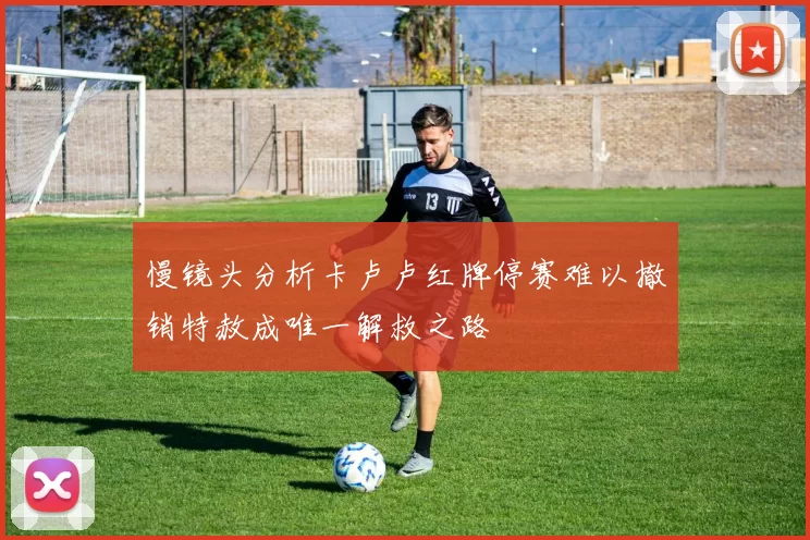 慢镜头分析卡卢卢红牌停赛难以撤销特赦成唯一解救之路