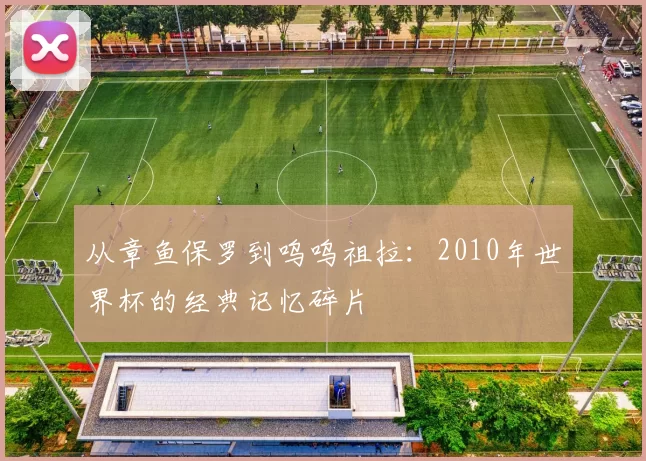 从章鱼保罗到呜呜祖拉:2010年世界杯的经典记忆碎片