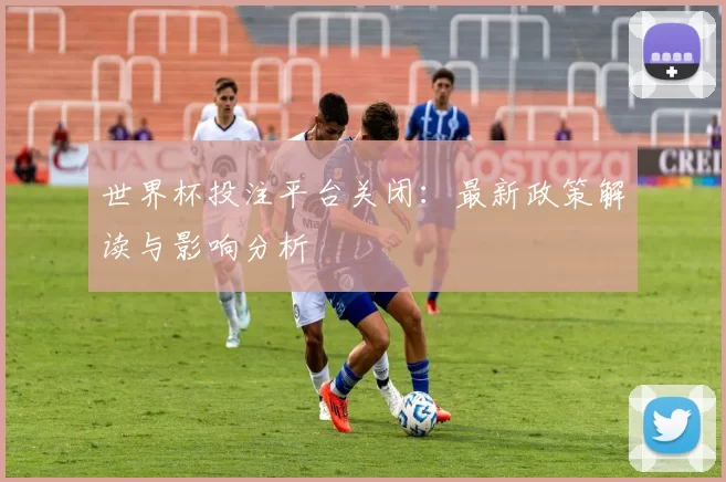 世界杯投注平台关闭:最新政策解读与影响分析