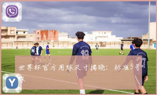 世界杯官方用球尺寸揭晓：标准5号球