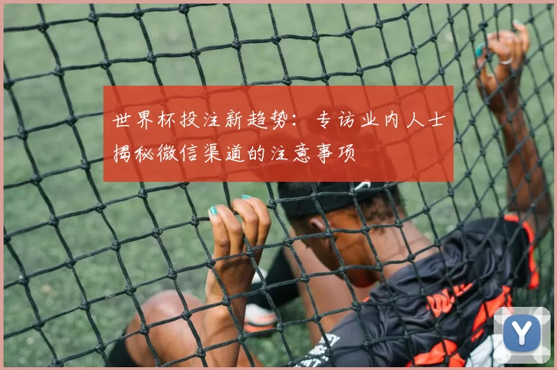 世界杯投注新趋势:专访业内人士揭秘微信渠道的注意事项
