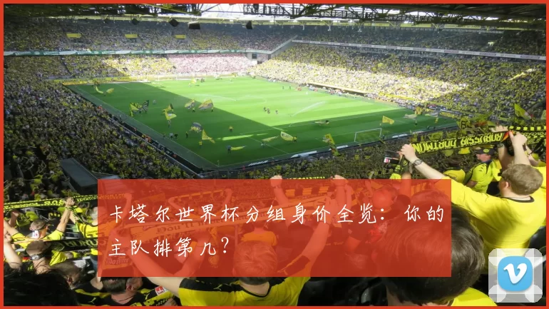 卡塔尔世界杯分组身价全览:你的主队排第几?