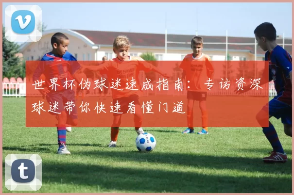 世界杯伪球迷速成指南:专访资深球迷带你快速看懂门道