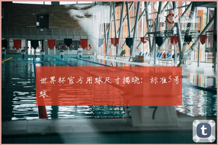 世界杯官方用球尺寸揭晓:标准5号球