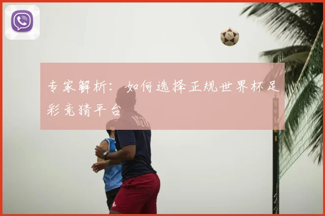 专家解析：如何选择正规世界杯足彩竞猜平台
