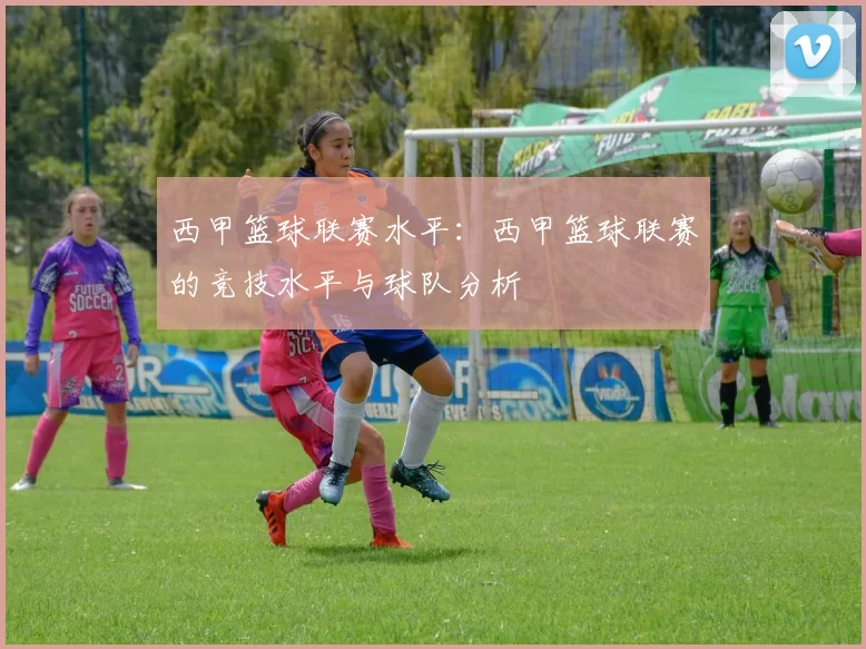 西甲篮球联赛水平:西甲篮球联赛的竞技水平与球队分析