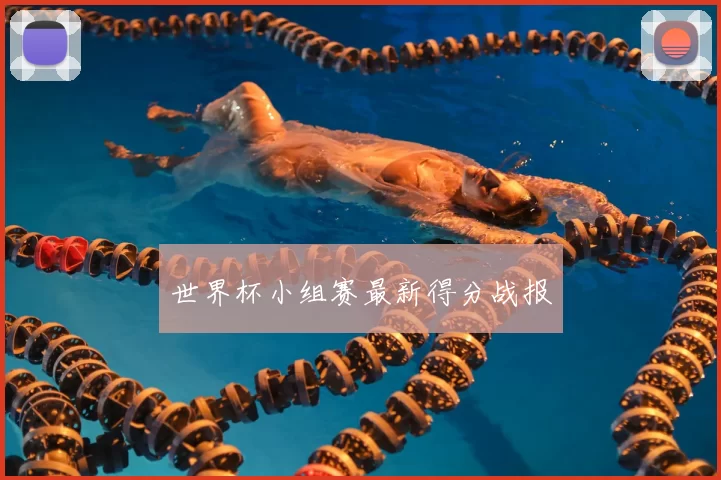 世界杯小组赛最新得分战报
