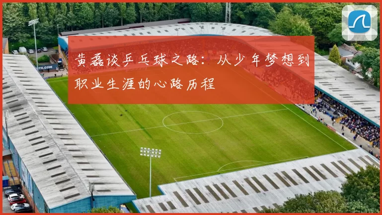 黄磊谈乒乓球之路:从少年梦想到职业生涯的心路历程