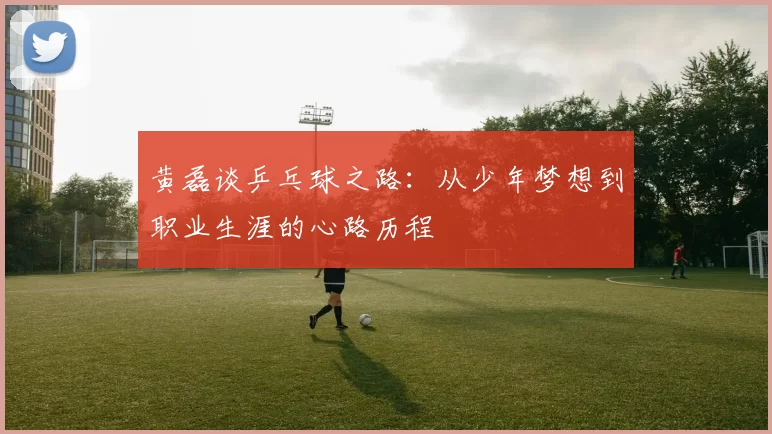 黄磊谈乒乓球之路:从少年梦想到职业生涯的心路历程